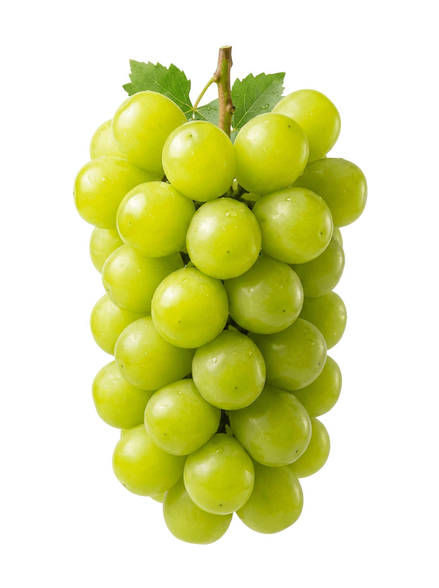 샤인머스켓